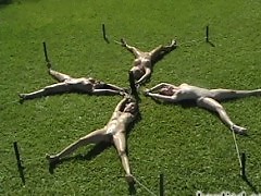 Sexy hitchikers staked to the lawn in Paradise.